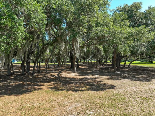 TROTTING HORSE LANE, Tavares, FL 32778