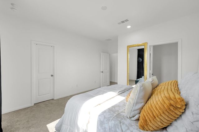 17902 Cranberry Scoop, Hockley, TX 77447