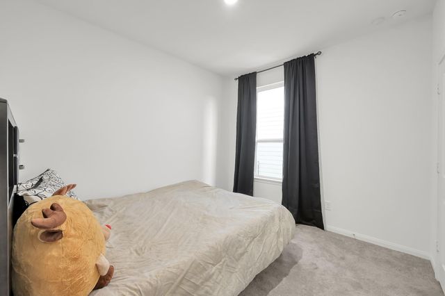 17902 Cranberry Scoop, Hockley, TX 77447