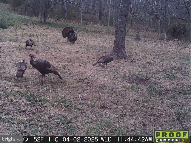 3402 ELK LICK ROAD, Everett, PA 15537