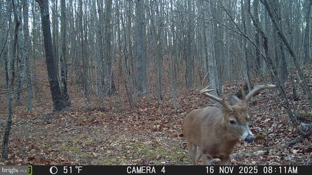 3402 ELK LICK ROAD, Everett, PA 15537