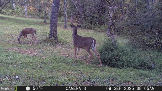 3402 ELK LICK ROAD, Everett, PA 15537