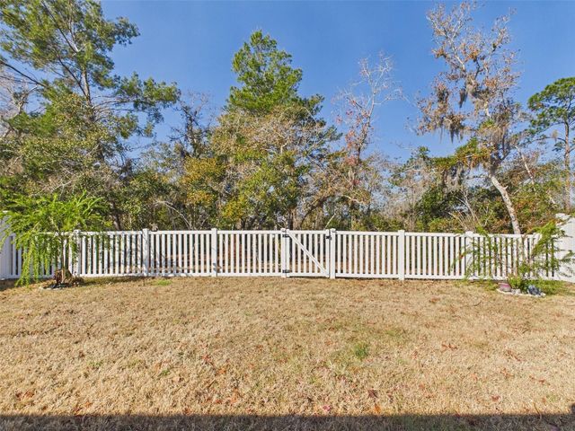 1360 PEACH CREEK DRIVE, Osteen, FL 32764