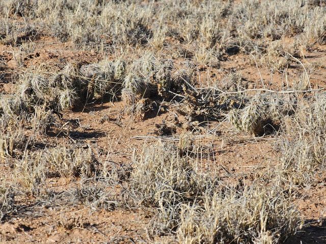 Vl Rio Grande Estates L13 Blk 314 7, Bernardo, NM 87006