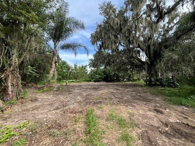 15810 COLDING LOOP, Wimauma, FL 33598
