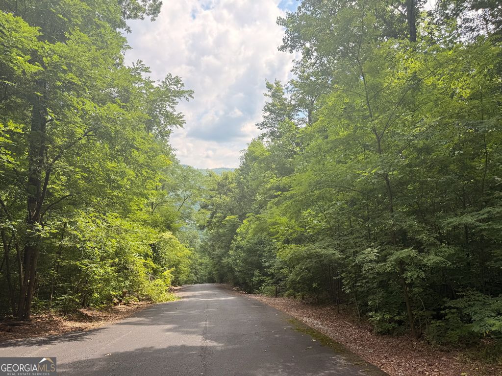 0 Streets of the Overlook at Kingwood, Clayton, GA 30525 — photo 3