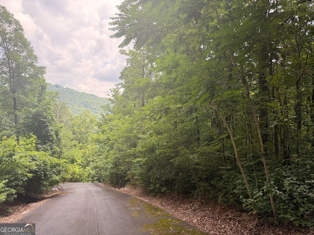 0 Streets of the Overlook at Kingwood, Clayton, GA 30525 — photo 4
