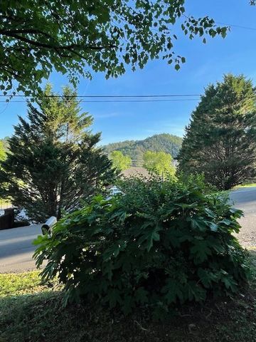 118 E Oak Street, Ellijay, GA 30540