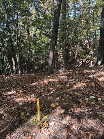 18 W Wesley Ridge, Atlanta, GA 30327