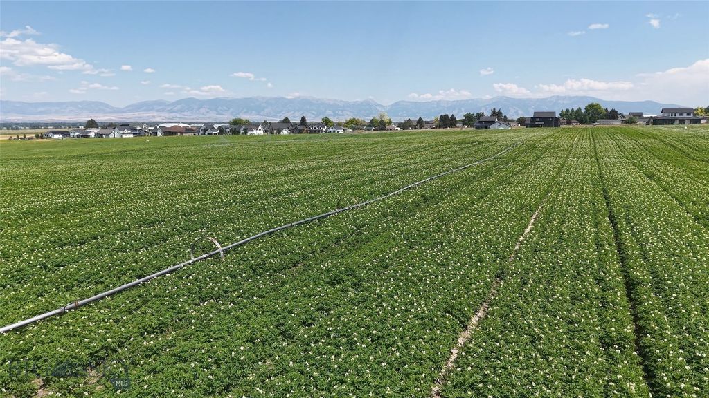 Tract 4 (46 Acres) Churchill Road, Churchill, MT 59741 photo 10