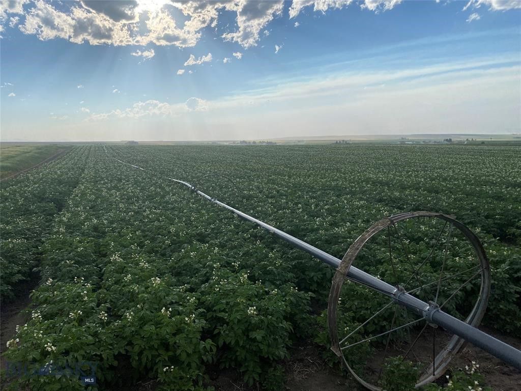 Tract 4 (46 Acres) Churchill Road, Churchill, MT 59741 photo 11