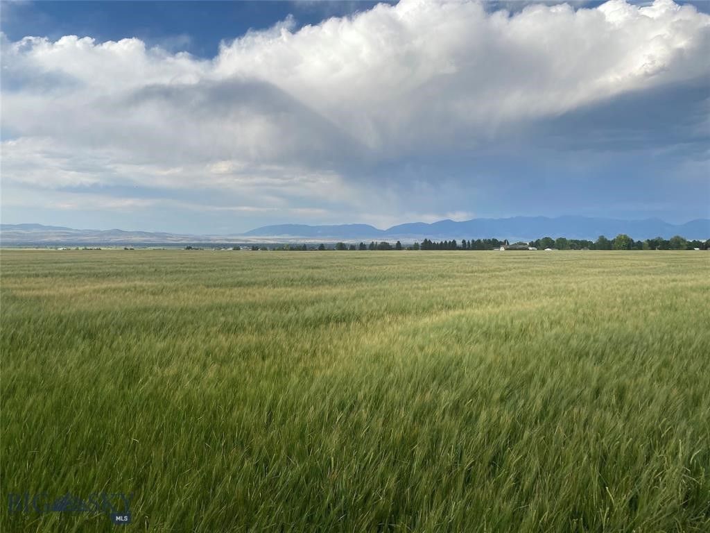 Tract 4 (46 Acres) Churchill Road, Churchill, MT 59741 photo 12