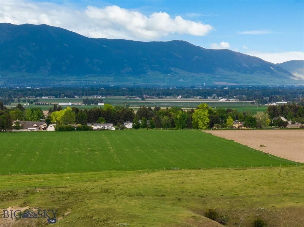 Tract 4 (46 Acres) Churchill Road, Churchill, MT 59741 photo 14