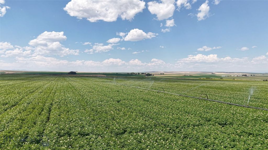 Tract 4 (46 Acres) Churchill Road, Churchill, MT 59741 photo 17