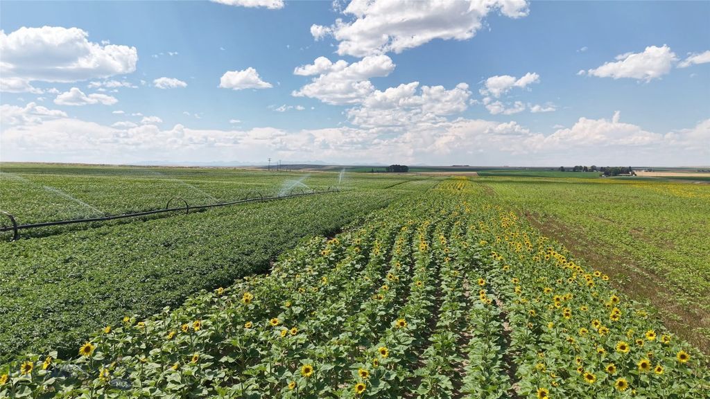 Tract 4 (46 Acres) Churchill Road, Churchill, MT 59741 photo 6