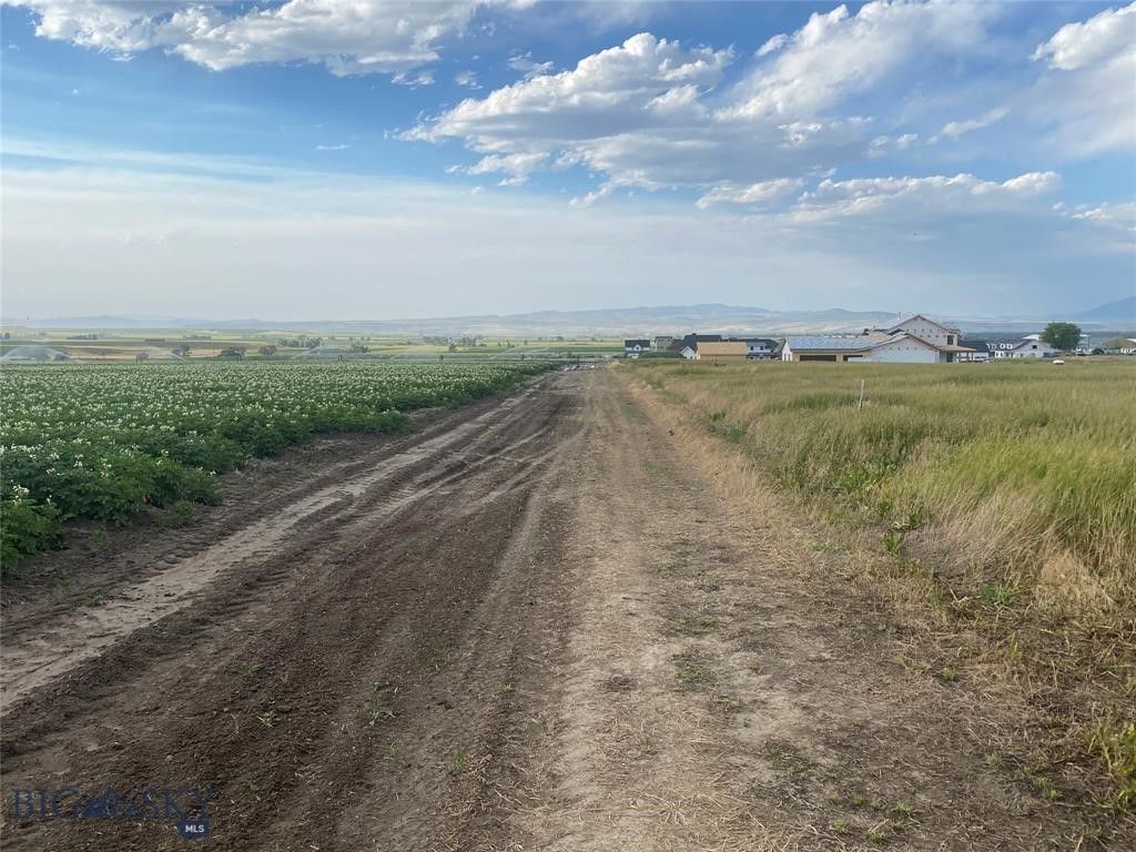 Tract 4 (46 Acres) Churchill Road, Churchill, MT 59741 photo 7