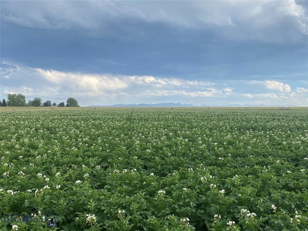 Tract 4 (46 Acres) Churchill Road, Churchill, MT 59741 photo 9