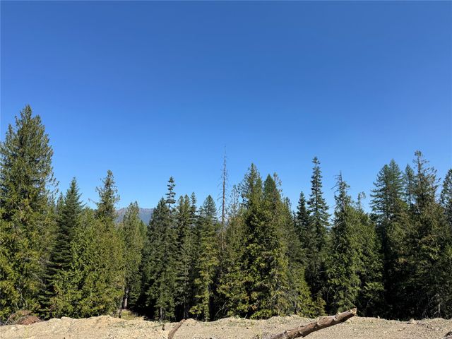 208 Elk Creek Road, Heron, MT 59844 property photo