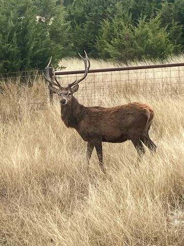 425 Youngblood Trail, Mountain Home, TX 78058