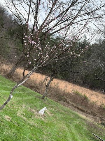 679 New Hope Church Road, Barbourville, KY 40906