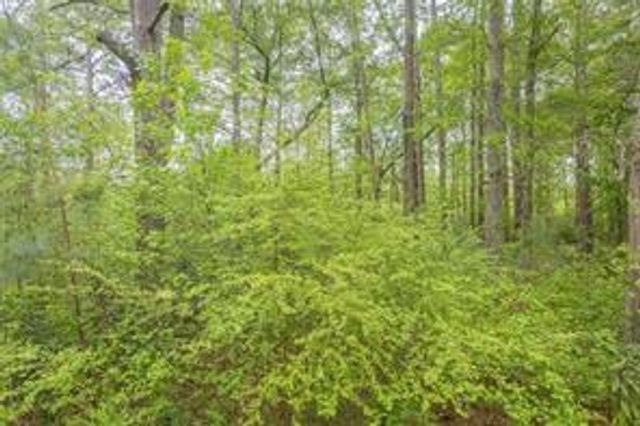 2939 Lake Sorrento Court, Conyers, GA 30012