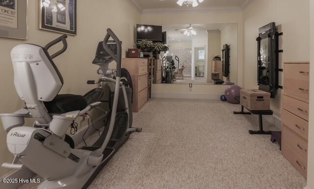 1 Burton Place, Jacksonville, NC 28540