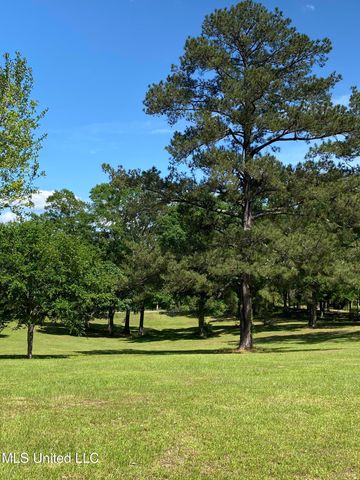 104 Baucum Road, Carriere, MS 39426