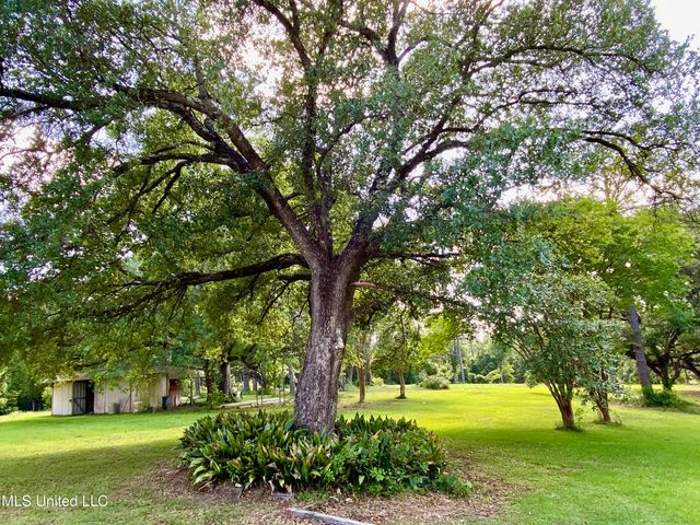 104 Baucum Road, Carriere, MS 39426