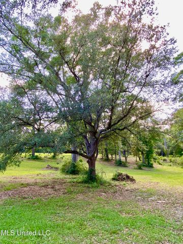 104 Baucum Road, Carriere, MS 39426
