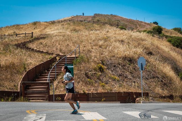 166 Highland Avenue, San Francisco, CA 94110