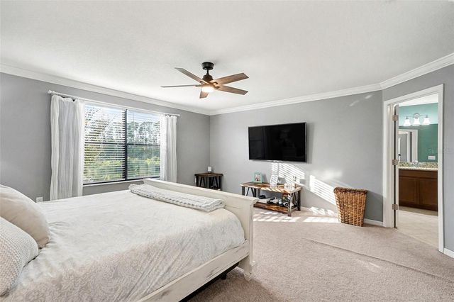 1217 BALLARD GREEN PLACE, Brandon, FL 33511