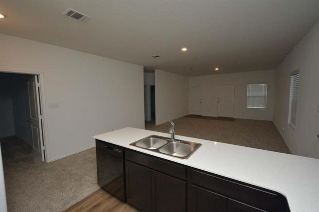 1106 Minnow LN, Bastrop, TX 78602