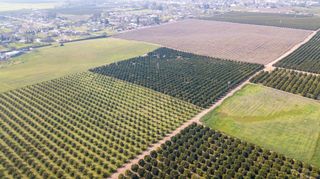 Ave 100/rd 244, Terra Bella, CA 93270