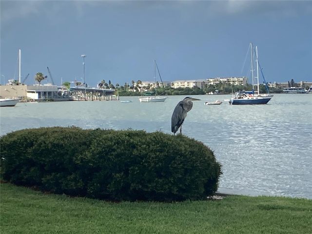 4650 COVE CIRCLE UNIT 311, St Petersburg, FL 33708