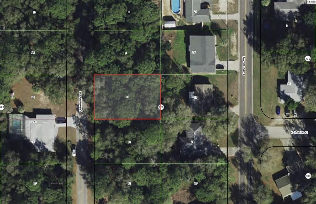 3737 S DIAMOND AVENUE, Inverness, FL 34452