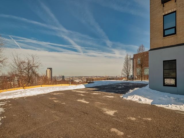 213 Bailey Ave, Mt Washington, PA 15211