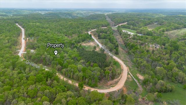 754 Oriole, Noel, MO 64854
