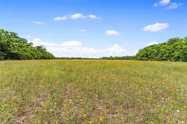 10840 Fm-442, Boling, TX 77420