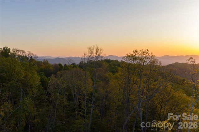 99999 Elk Mountain Scenic Highway 1, Asheville, NC 28804