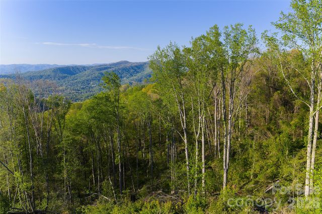 99999 Elk Mountain Scenic Highway 1, Asheville, NC 28804