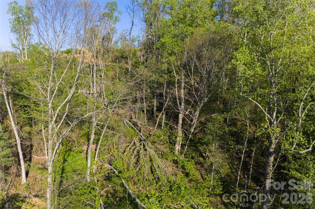 99999 Elk Mountain Scenic Highway 1, Asheville, NC 28804