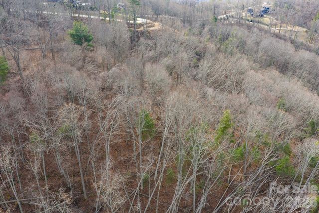 99999 Elk Mountain Scenic Highway 1, Asheville, NC 28804