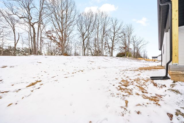 217 Wayne Hall Road, Clarksville, TN 37040