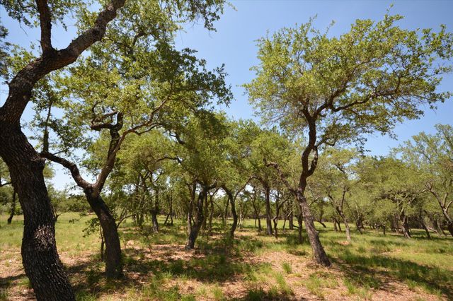TBD LOT 17-B DEER RUN, Wimberley, TX 78676