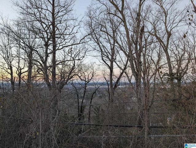 5220 MOUNTAIN RIDGE PARKWAY, Birmingham, AL 35222