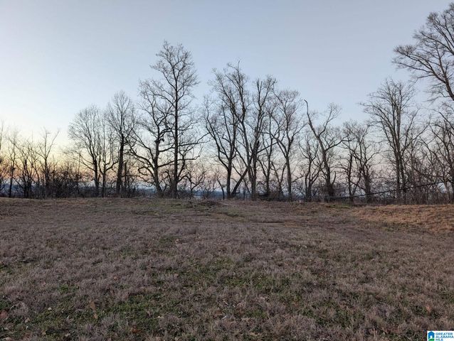 5220 MOUNTAIN RIDGE PARKWAY, Birmingham, AL 35222