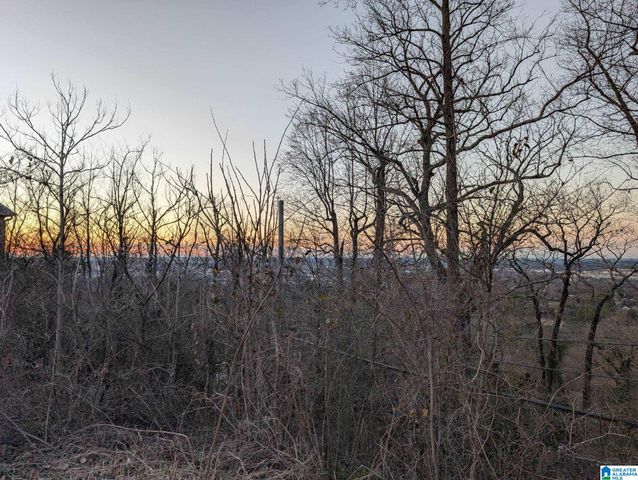 5220 MOUNTAIN RIDGE PARKWAY, Birmingham, AL 35222