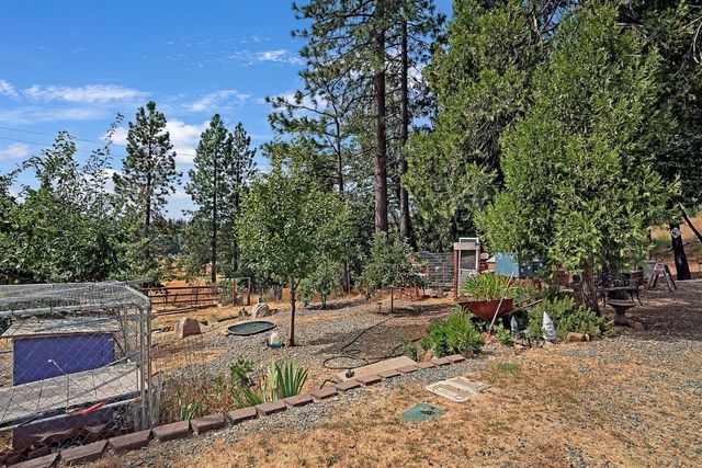 26255 State Highway 88, Pioneer, CA 95666