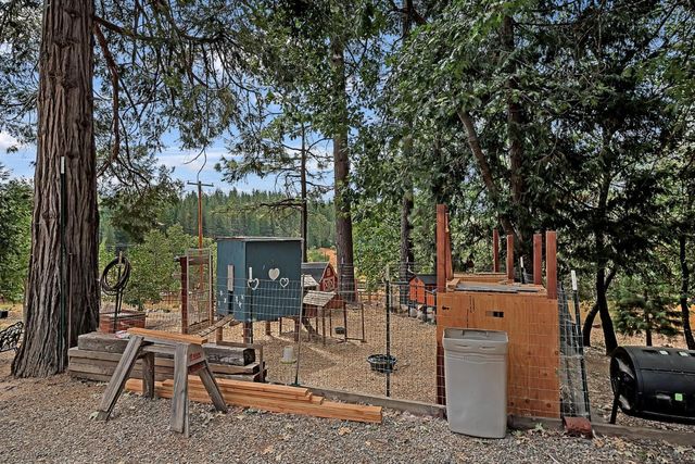 26255 State Highway 88, Pioneer, CA 95666