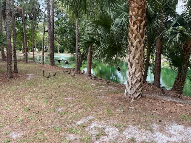 17101 Haynie Lane, Jupiter Farms, FL 33478, Jupiter, FL 33478